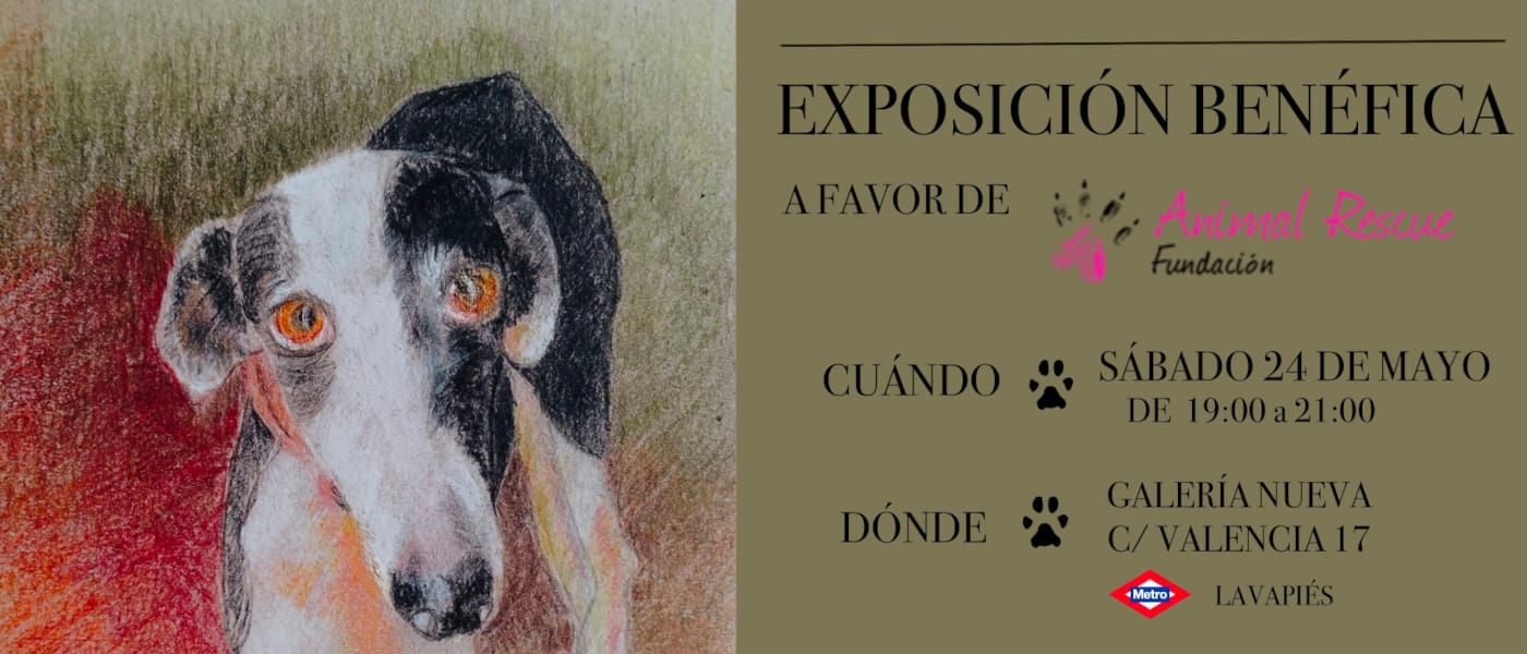 Mayo 2025 - Exposición Animal Rescue