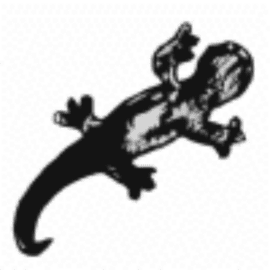 Mayo 2025 - Exposición Animal Rescue